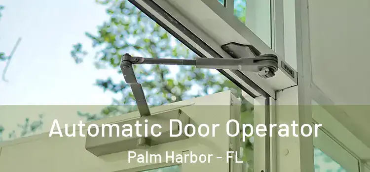 Automatic Door Operator Palm Harbor - FL