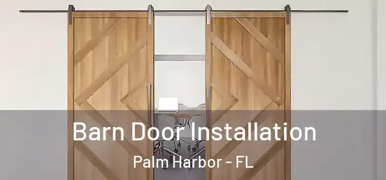 Barn Door Installation Palm Harbor - FL