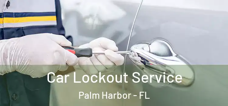 Car Lockout Service Palm Harbor - FL