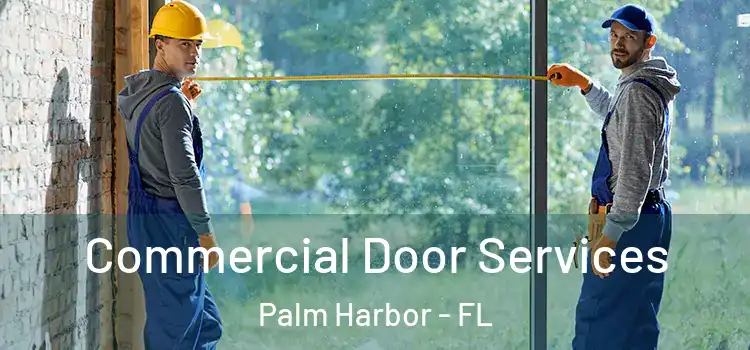 Commercial Door Services Palm Harbor - FL