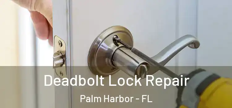 Deadbolt Lock Repair Palm Harbor - FL