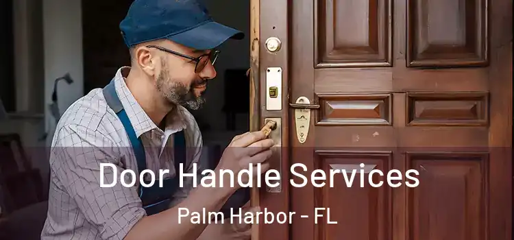 Door Handle Services Palm Harbor - FL