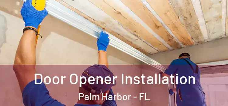 Door Opener Installation Palm Harbor - FL