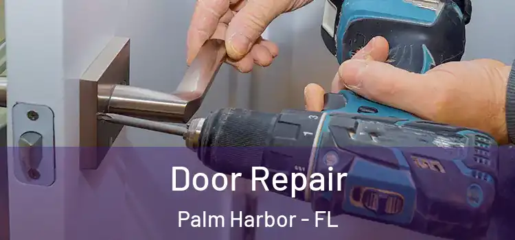 Door Repair Palm Harbor - FL