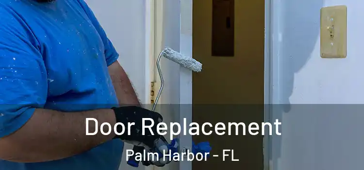  Door Replacement Palm Harbor - FL