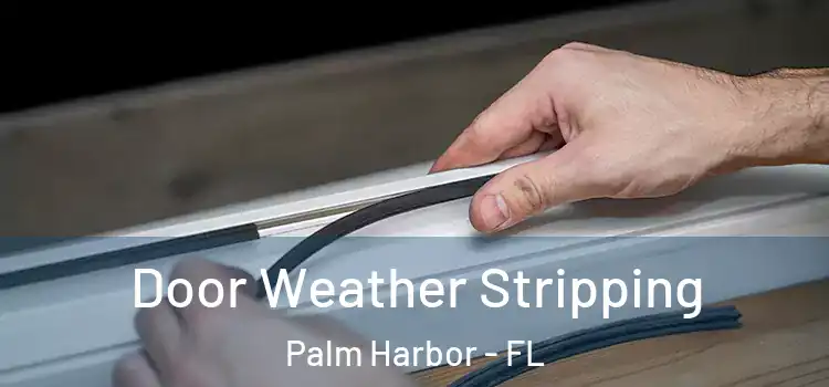 Door Weather Stripping Palm Harbor - FL