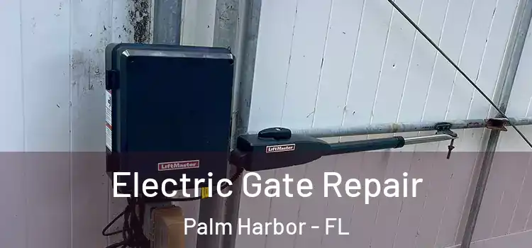 Electric Gate Repair Palm Harbor - FL