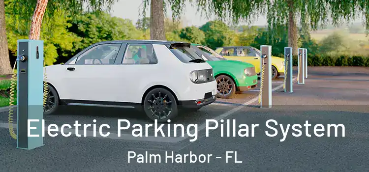 Electric Parking Pillar System Palm Harbor - FL