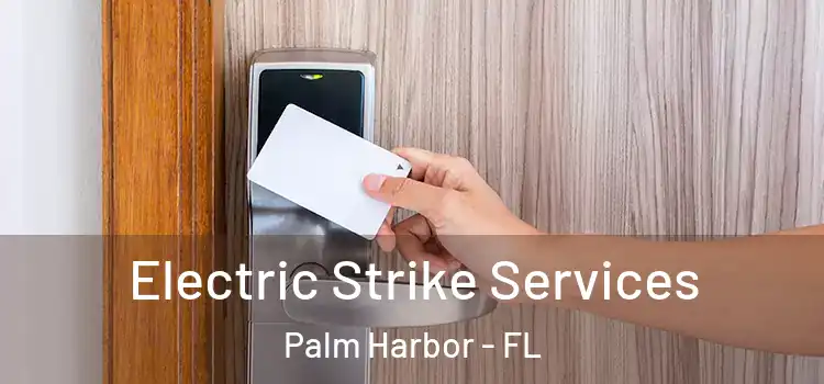 Electric Strike Services Palm Harbor - FL