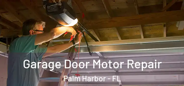  Garage Door Motor Repair Palm Harbor - FL