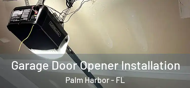  Garage Door Opener Installation Palm Harbor - FL