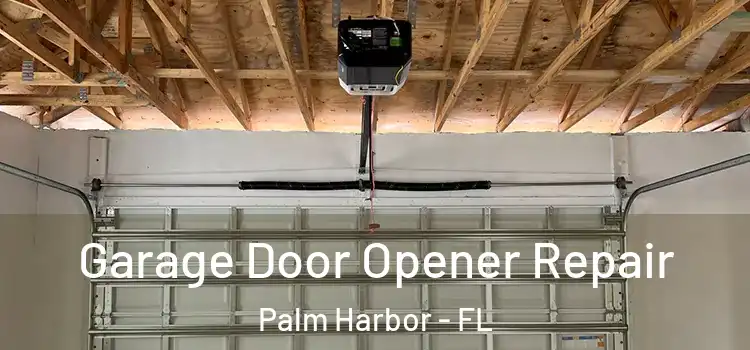  Garage Door Opener Repair Palm Harbor - FL