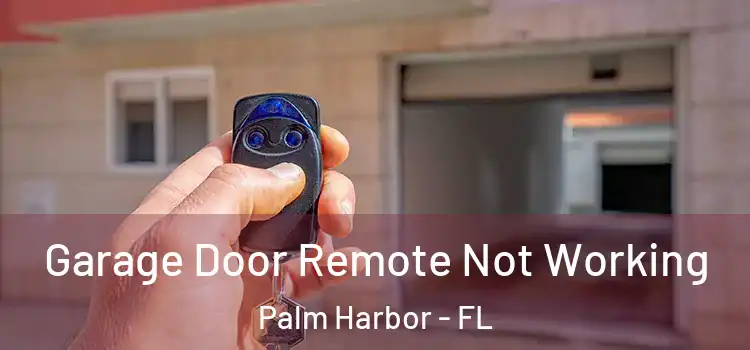  Garage Door Remote Not Working Palm Harbor - FL