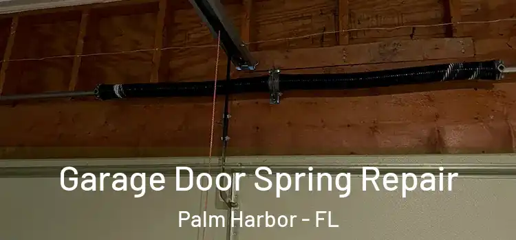  Garage Door Spring Repair Palm Harbor - FL