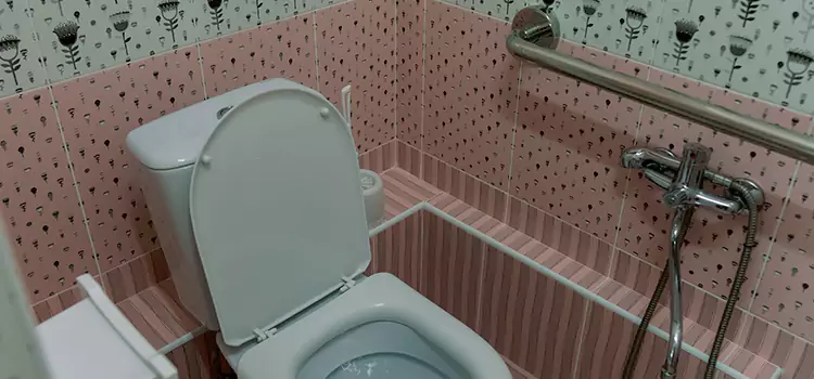 Meeting Diverse Needs With Accessible Restroom Solutions in Palm Harbor, FL