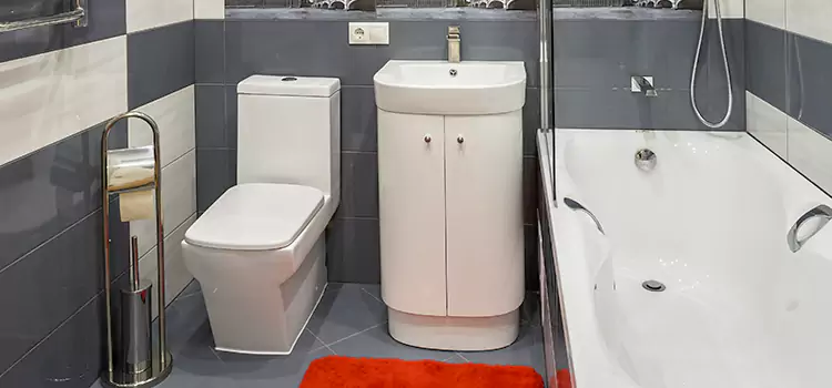 Hansgrohe Shaving Mirror Palm Harbor