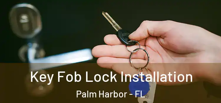 Key Fob Lock Installation Palm Harbor - FL
