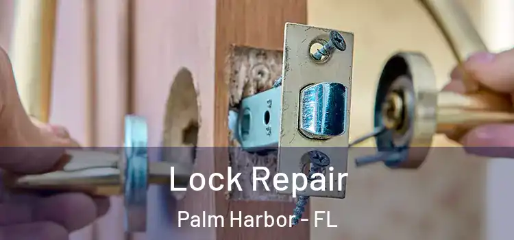 Lock Repair Palm Harbor - FL