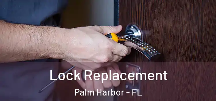 Lock Replacement Palm Harbor - FL