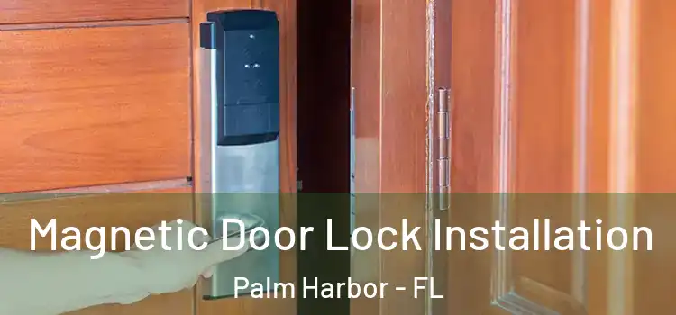 Magnetic Door Lock Installation Palm Harbor - FL