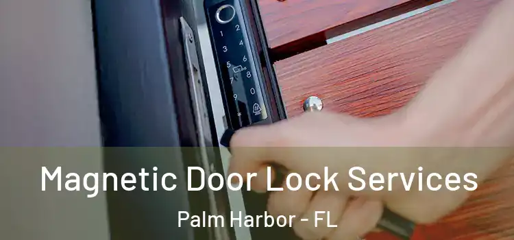 Magnetic Door Lock Services Palm Harbor - FL