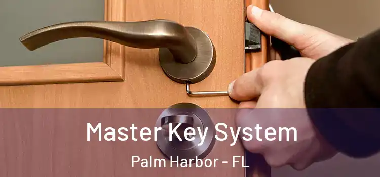 Master Key System Palm Harbor - FL