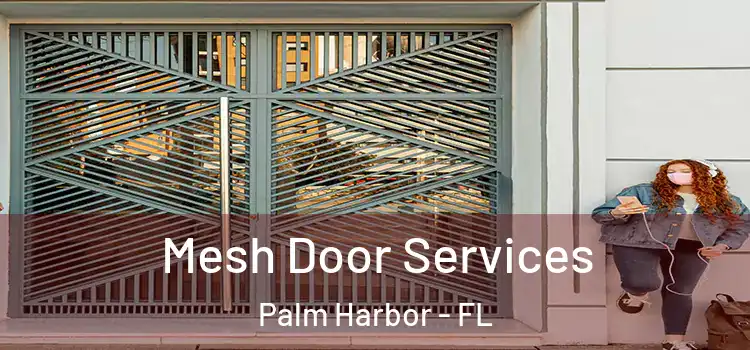 Mesh Door Services Palm Harbor - FL
