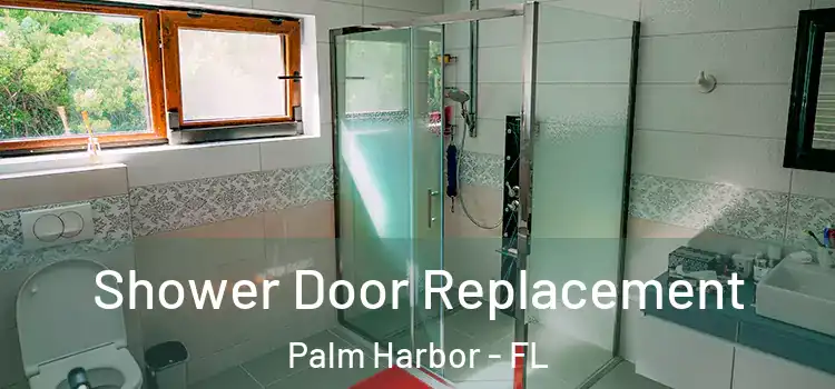 Shower Door Replacement Palm Harbor - FL
