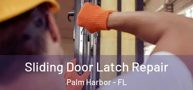 Sliding Door Latch Repair Palm Harbor - FL
