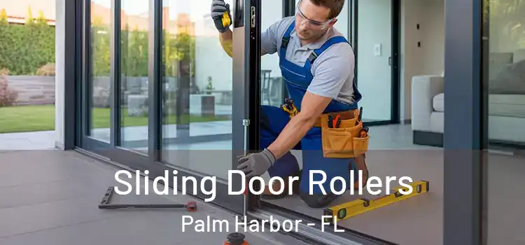 Sliding Door Rollers Palm Harbor - FL