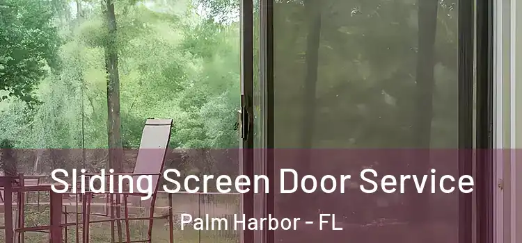 Sliding Screen Door Service Palm Harbor - FL