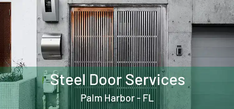 Steel Door Services Palm Harbor - FL